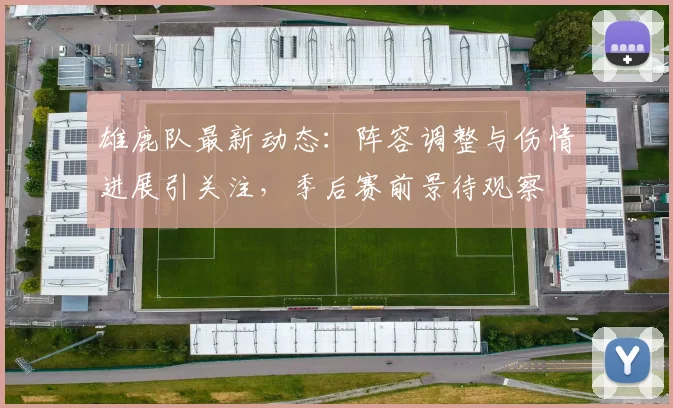 雄鹿队最新动态：阵容调整与伤情进展引关注，季后赛前景待观察
