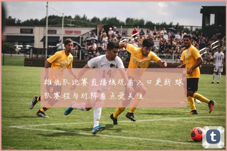 雄鹿队比赛直播线观看入口更新 球队赛程与对阵看点受关注