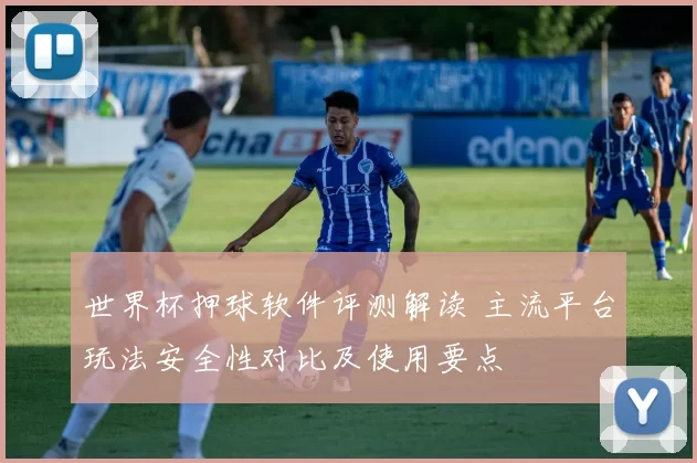 世界杯押球软件评测解读 主流平台玩法安全性对比及使用要点