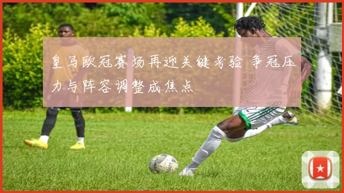 皇马欧冠赛场再迎关键考验 争冠压力与阵容调整成焦点