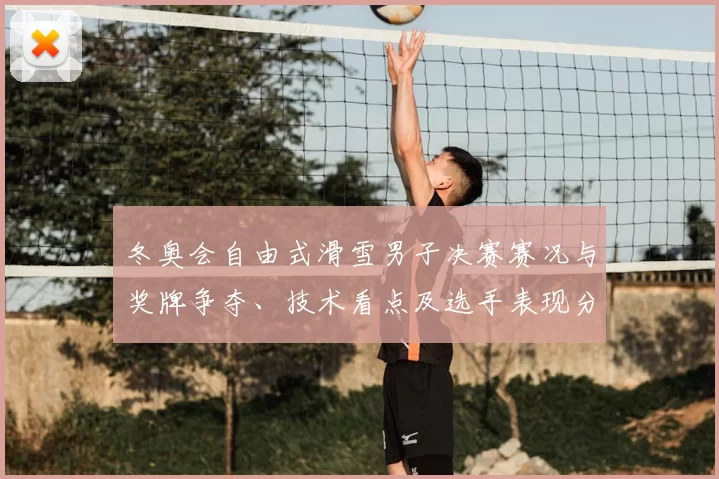 冬奥会自由式滑雪男子决赛赛况与奖牌争夺、技术看点及选手表现分析